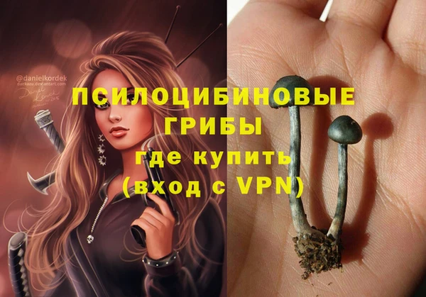 мескалин Балахна