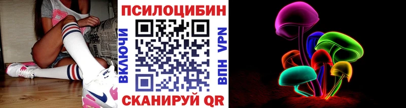 закладки  Надым  Галлюциногенные грибы Psilocybine cubensis 